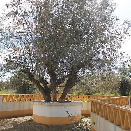 Montinho Do Palanque Villa Viana do Alentejo Exterior photo