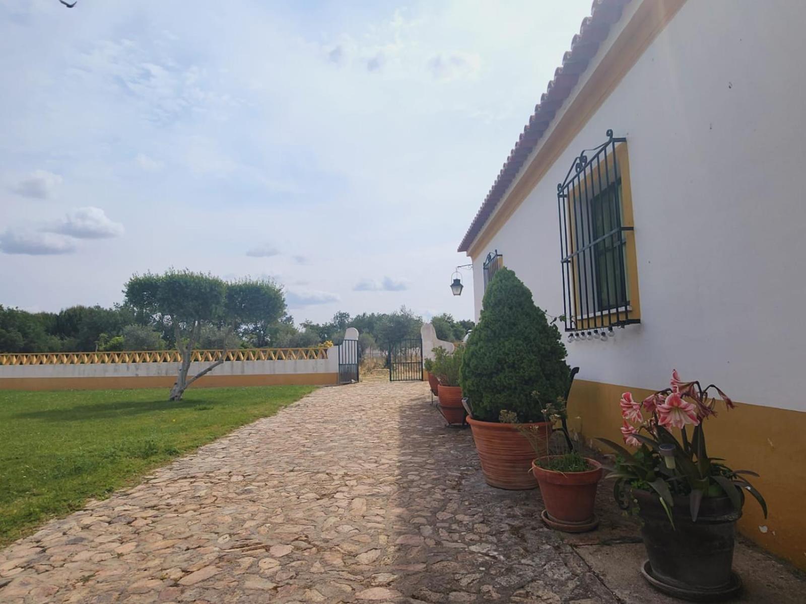 Montinho Do Palanque Viana do Alentejo