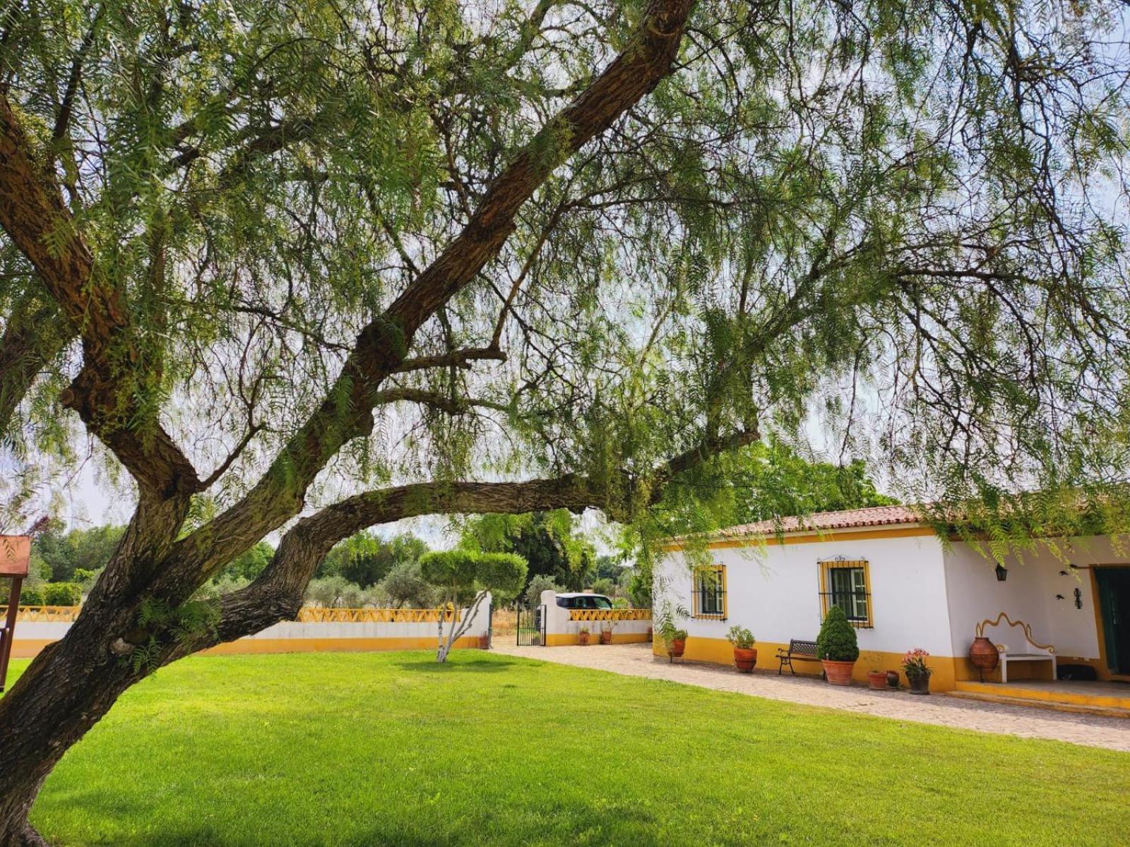 Montinho Do Palanque Holiday home