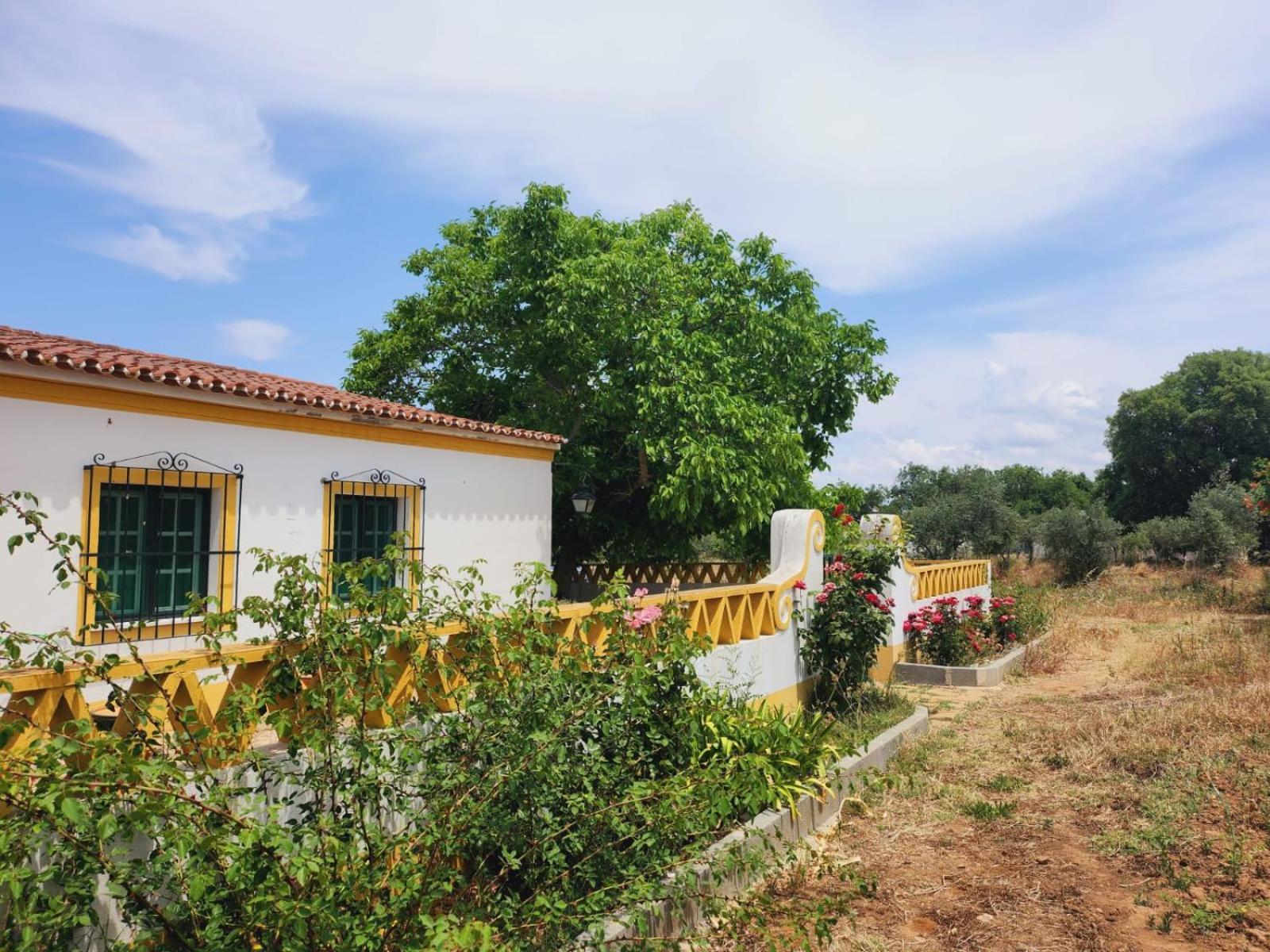 Montinho Do Palanque Holiday home